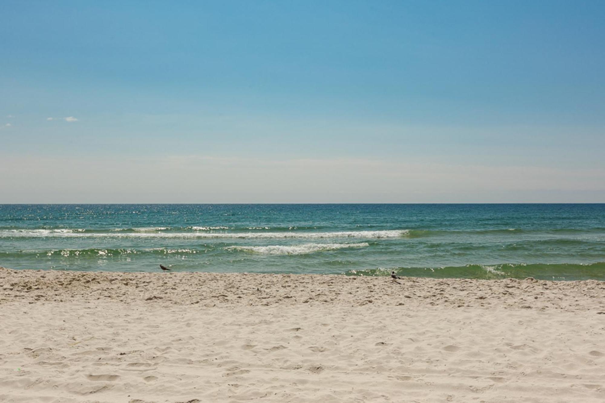 The Beach House Gulf Shores Eksteriør bilde